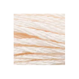 Coton mouliné DMC n°3770