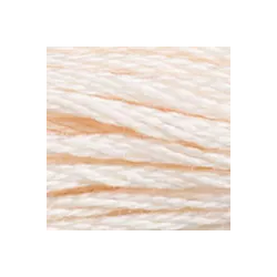 Coton mouliné DMC n°3770