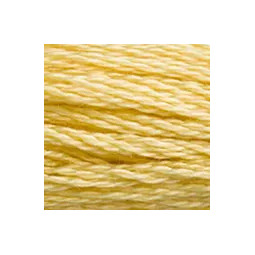 Coton mouliné DMC n°3822