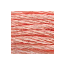 Coton mouliné DMC n°3824