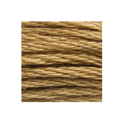 Coton mouliné DMC n° 3828