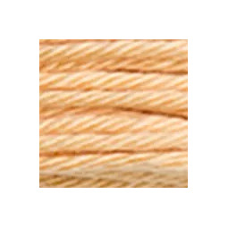 Coton retors DMC n°2158