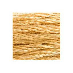 Fil mouliné DMC n°422