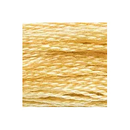 Fil mouliné DMC n°676