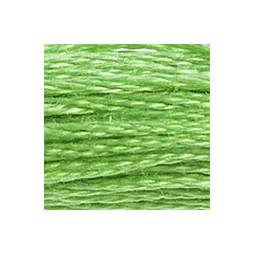 Fil mouliné DMC n°703