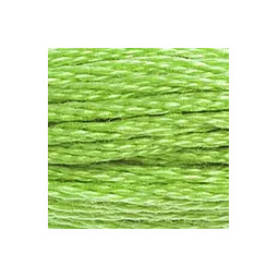 Fil mouliné DMC n°704