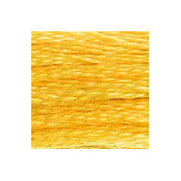 Fil mouliné DMC n°725