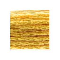 Fils mouliné DMC n°728