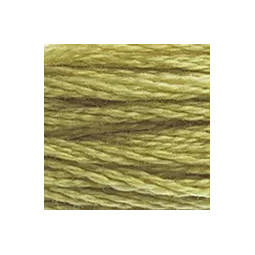 Fil mouliné DMC n°734