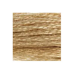 Fil mouliné DMC n°738