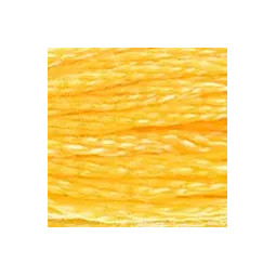 Fil mouliné DMC n°743