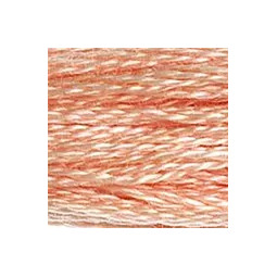 Fil mouliné DMC n°754