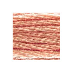 Fil mouliné DMC n°758