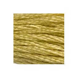 Fil mouliné mouliné DMC n°834