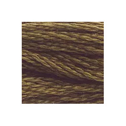 Fil mouliné mouliné DMC n°869