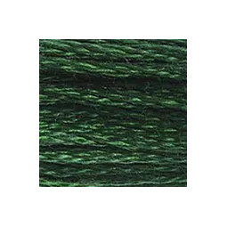 Fil mouliné mouliné DMC n°895