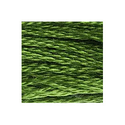 Fil mouliné mouliné DMC n°905