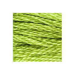 Fil mouliné mouliné DMC n°907