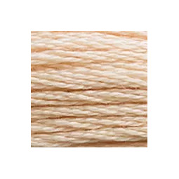 Fil mouliné mouliné DMC n°945