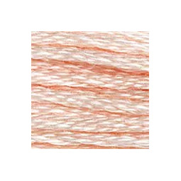 Fil mouliné mouliné DMC n°948