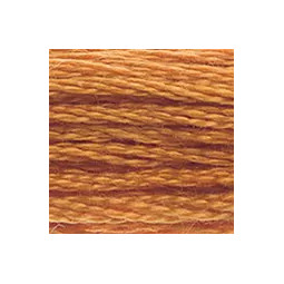 Fil mouliné mouliné DMC n°976