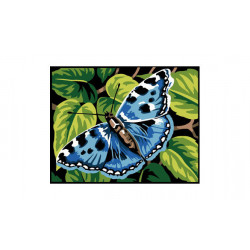 Kit Canevas "papillon"