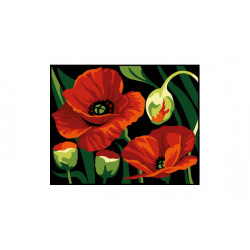 Kit canevas "Les coquelicots"