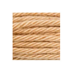 Coton retors N°2436 de DMC