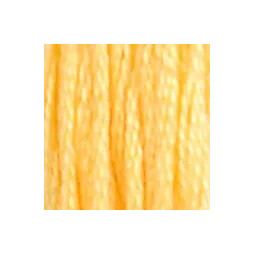 Coton mouliné DMC n°19