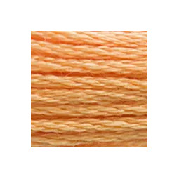 Coton mouliné DMC n°3854