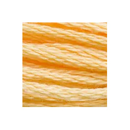 Coton mouliné DMC n°3855