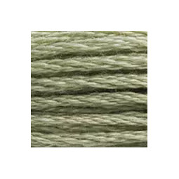 Coton mouliné DMC n°523