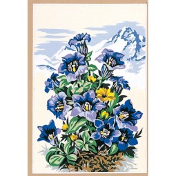 Fleurs des montagnes