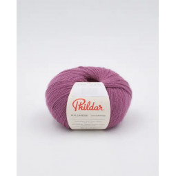 Phil Caresse LIE DE VIN