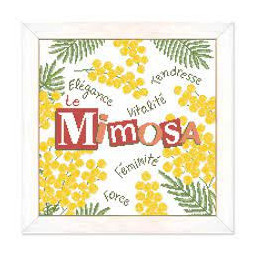 Le Mimosa