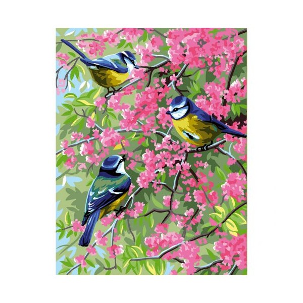 Les mésanges bleues et les...