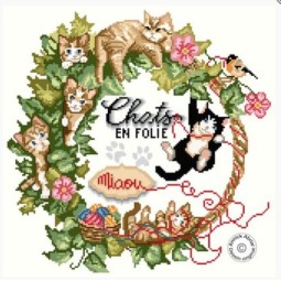 Chats en folie