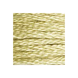 Coton mouliné DMC n°3046