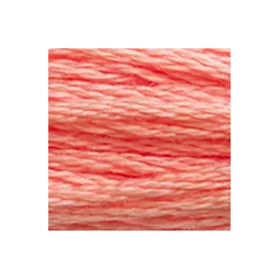 Coton mouliné DMC n°3341