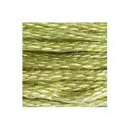 Coton mouliné DMC n°3348